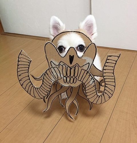 Dogilike.com :: ! ˭ԧ蹵ѴдѧӾͺٻҵٺ ʹ 