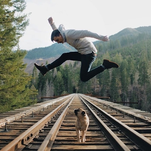 Dogilike.com :: ӵѹ ! ˹ѡԹҧҾ һꡤ͡Թҧ