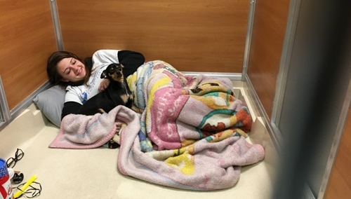 Dogilike.com :: 6 Ѥ÷ͧعѢٹѡԧ ˹ѡѺ§Ӥѭ !!