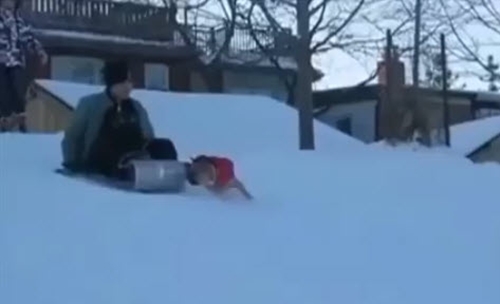 Dogilike.com :: ʹ! ԻٺشʺҢͧ͹ Ŵŧҧ¹