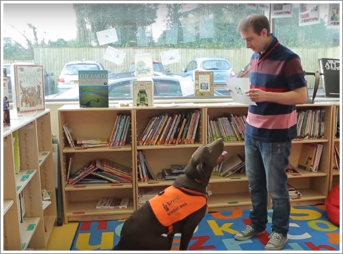 Dogilike.com :: Fernie عѢ¹觨ҡѡ çѹ  ҹ˹ѧ