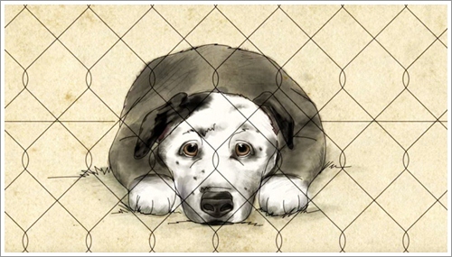 Dogilike.com :: ภาพยนตร์สั้นจากเรื่องจริง! เมื่อเจ้าตูบเปลี่ยนแปลงโลกของคุณลุงโรครุมเร้า