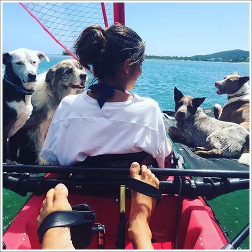 Dogilike.com :: ش! ҵٺ蹢ѭ㨪͹Źš