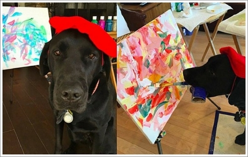Dogilike.com :: ŻԹ! ҺҴѡҴҾŻТ¹Թ͡á