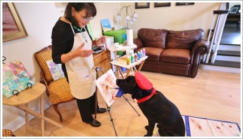 Dogilike.com :: ŻԹ! ҺҴѡҴҾŻТ¹Թ͡á