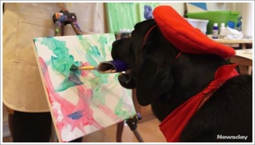 Dogilike.com :: ŻԹ! ҺҴѡҴҾŻТ¹Թ͡á