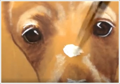 Dogilike.com :: ͡ԴҨԧ! ŻԹСѹҾҴ 3D ҵٺѪعش (դԻ)