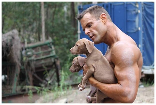 Dogilike.com :: ! ѡѺԧкѴҶẺԷԹдعѵ