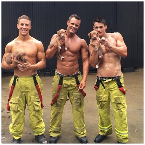 Dogilike.com :: ! ѡѺԧкѴҶẺԷԹдعѵ