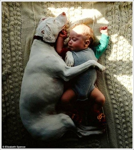 Dogilike.com :: Һҹ §ͧ! Ҿشѡͧҵٺͷ˹ҷ繾§