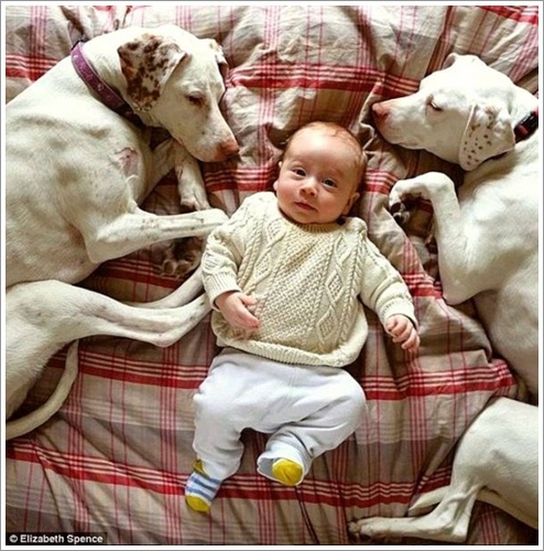 Dogilike.com :: Һҹ §ͧ! Ҿشѡͧҵٺͷ˹ҷ繾§