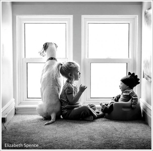 Dogilike.com :: Һҹ §ͧ! Ҿشѡͧҵٺͷ˹ҷ繾§