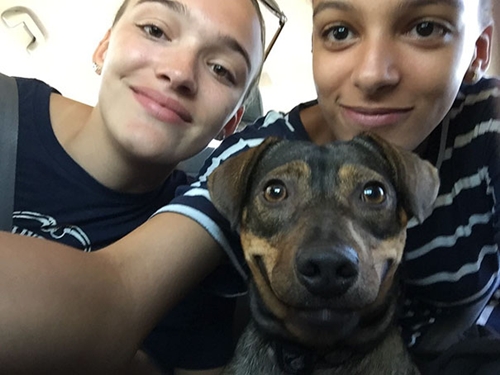Dogilike.com :: ҵٺſաѺҢͧ ѧ١Ѻ§ҡٹѡԧ