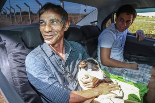 Dogilike.com :: ѡش! عѢǴҢͧǧѺҹö¹