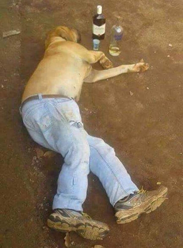 Dogilike.com :: 15 ҾشҢͧٺһѭҷͺš  Ңͧʹ !!