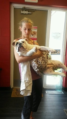 Dogilike.com :: شʧ! ¨ѺŴ͡ҵѴͧ ͹駡ҧ