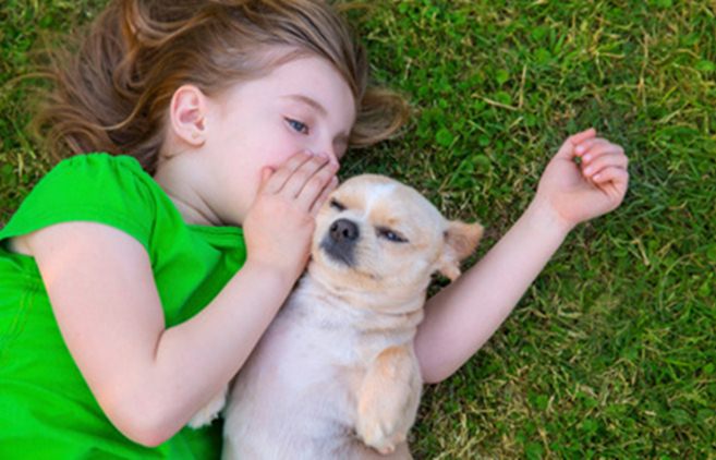 Dogilike.com :: ¤Ѻͧ 10 ¾ѹعѢسҨҡ͹
