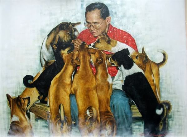 Dogilike.com :: ¸þҢͧǧ .9 ѧعѢѵ