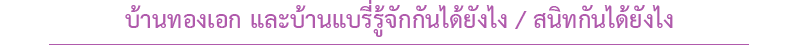 นัองหมา, สุนัข, Dog Spotlight, ถูกทิ้ง, วีรกรรมสุดแสบ, น้องหมาพันทาง, ซุป'ตาร์, แจ้งเกิด,ทองเอก, แบรี่