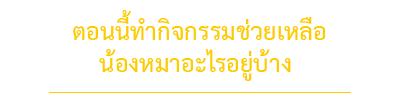 นัองหมา, สุนัข, Dog Spotlight, ถูกทิ้ง, วีรกรรมสุดแสบ, น้องหมาพันทาง, ซุป'ตาร์, แจ้งเกิด,ทองเอก, แบรี่