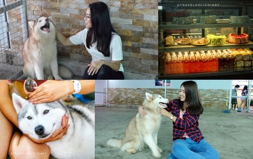 Dogilike.com :: Dogilike Review : Դ! ͧҷáͧ  