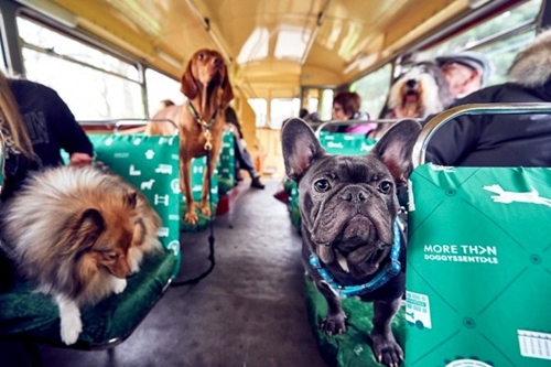 Dogilike.com :: δѧ! Դöʾҵٺͺا͹͹áš