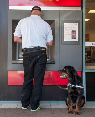 Dogilike.com :: 䧵ǪҢͧԹẺʺ  ͧ !