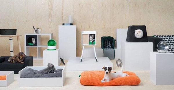 Dogilike.com :: ҵ¡ͧ! IKEA ԴѺ੾ 