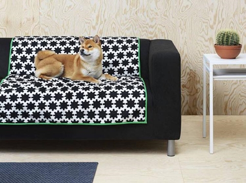 Dogilike.com :: ҵ¡ͧ! IKEA ԴѺ੾ 
