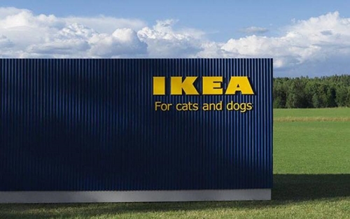 Dogilike.com :: ҵ¡ͧ! IKEA ԴѺ੾ 