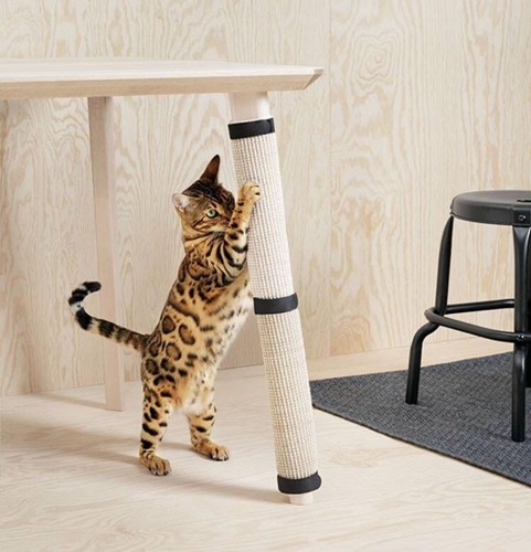 Dogilike.com :: ҵ¡ͧ! IKEA ԴѺ੾ 