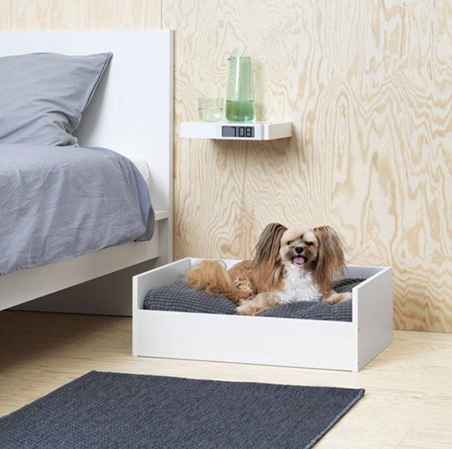 Dogilike.com :: ҵ¡ͧ! IKEA ԴѺ੾ 