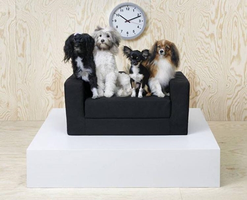 Dogilike.com :: ҵ¡ͧ! IKEA ԴѺ੾ 