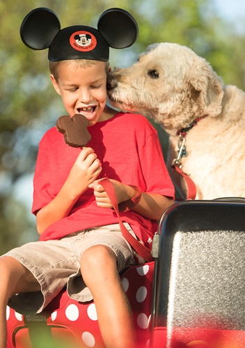 Dogilike.com :: ѡ! Walt Disney World Resort ͹حҵعѢҾѡ