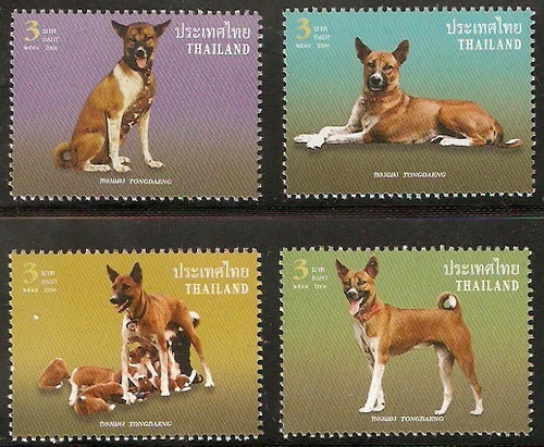 Dogilike.com :: รวมของที่ระลึก คุณทองแดง ที่ในหลวงรัชกาลที่ 9 พระราชทานให้แก่ประชาชน 