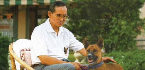 Dogilike.com :: รวมของที่ระลึก คุณทองแดง ที่ในหลวงรัชกาลที่ 9 พระราชทานให้แก่ประชาชน 