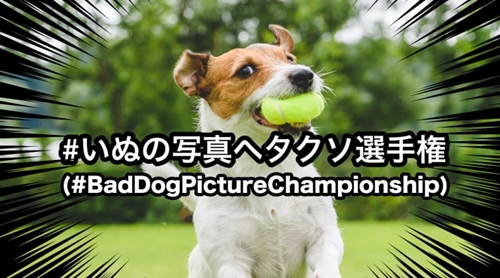 Dogilike.com :: ͪǭ蹾㨵ԴΪ #BadDogPictureChampionship ͧҵͧ
