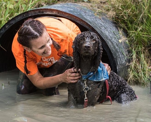 Dogilike.com :: อังกฤษจ่อจัดงานพาเจ้าของวิ่งลุยโคลนกับสุนัข ระดมเงินช่วยเหลือสัตว์
