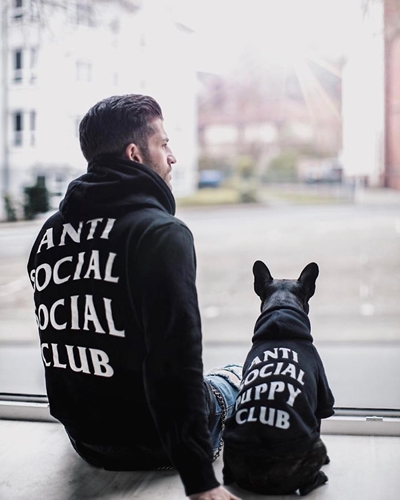 Dogilike.com :: ǹ! Ὺ˹˹شԻͧ ҹѡҺ͡