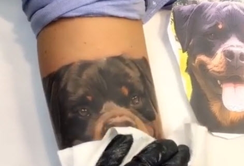 Dogilike.com :: ͹ժԵ! ¤ԻѡعѢ¨š֧  23 ҹ