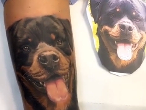 Dogilike.com :: ͹ժԵ! ¤ԻѡعѢ¨š֧  23 ҹ