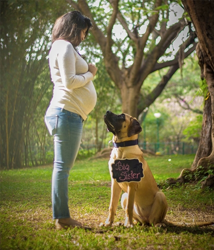 Dogilike.com :: ǵ駤Թԡ§ٺ Ҿͺ١§عѢ !!