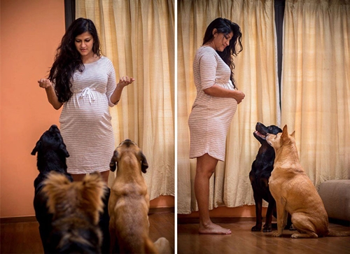 Dogilike.com :: ǵ駤Թԡ§ٺ Ҿͺ١§عѢ !!
