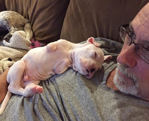 Dogilike.com :: ١Դբͺⴹҷ ͤѡ㨴բʹŴ !