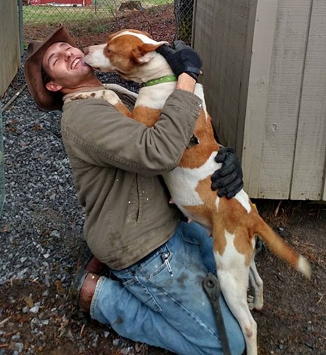 Dogilike.com :: ˹عѢǵԴҤ ҹعѢ !!
