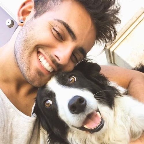 Dogilike.com :: յ! ͧ˹ѡҨҡԹʵ Ẻ