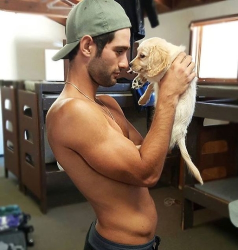 Dogilike.com :: յ! ͧ˹ѡҨҡԹʵ Ẻ