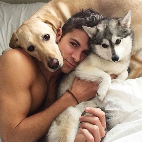 Dogilike.com :: յ! ͧ˹ѡҨҡԹʵ Ẻ