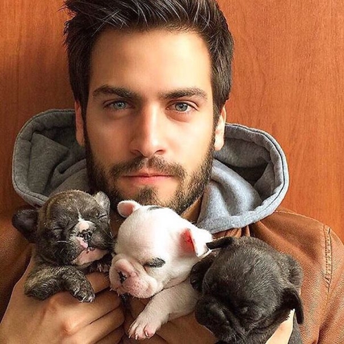 Dogilike.com :: յ! ͧ˹ѡҨҡԹʵ Ẻ