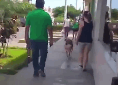 Dogilike.com :: ʧ! ٺèѴҺѧԹ͹ӷͧ ѧͻѭҢҴŹ